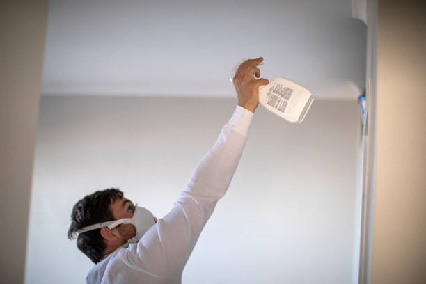 Best Toxic Mold Removal  in Florence Graham, CA